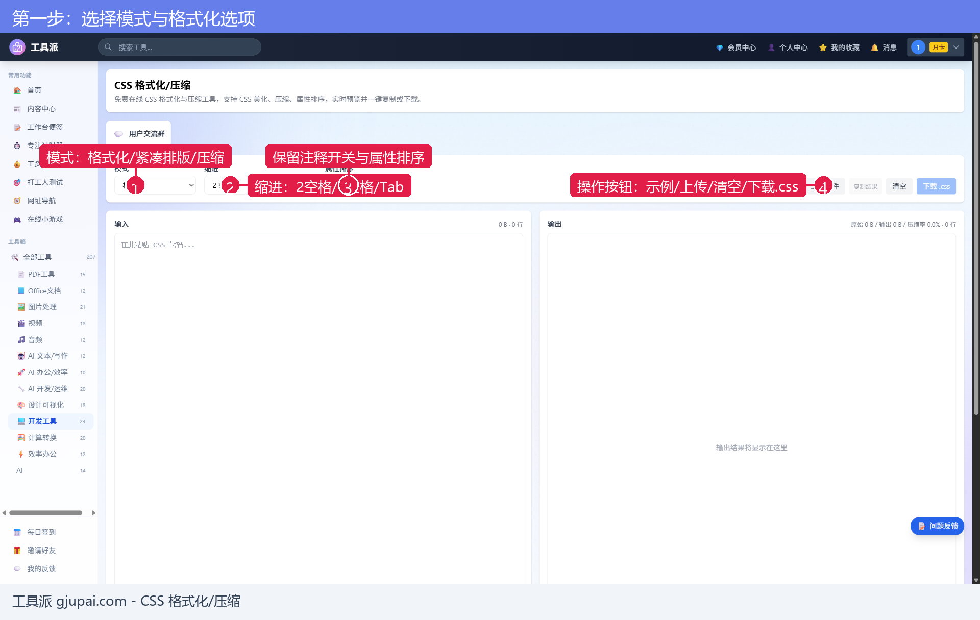 CSS 格式化选项