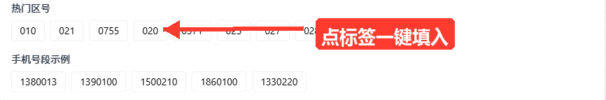 结果区下方的「热门区号」和「手机号段示例」两组快捷标签。