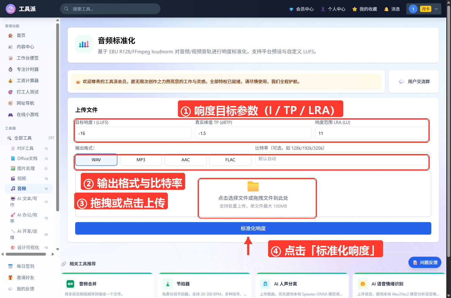 音频标准化工具主界面:顶部为工具标题与简介横幅;中部依次排列目标响度 I (LUFS)、真实峰值 TP (dBTP)、响